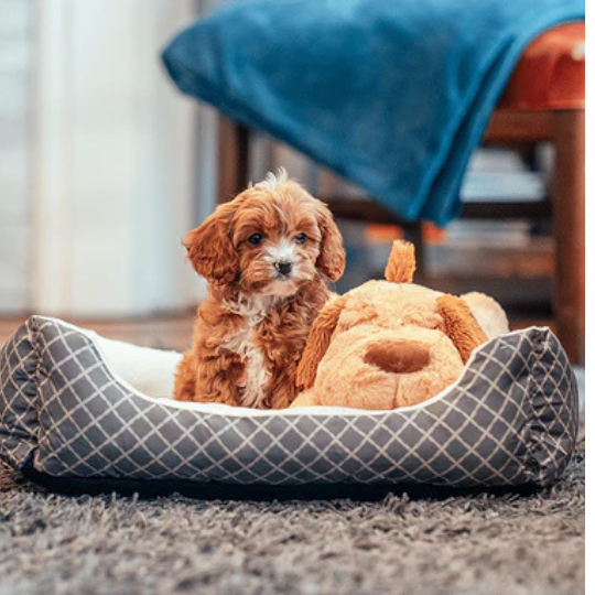 7 Benefits of Soft Toys for Child Development